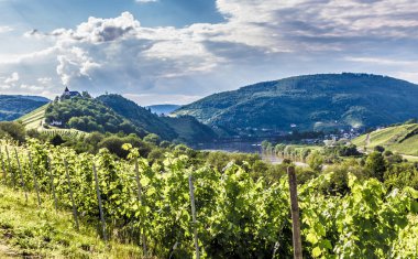Marienburg Mosel Almanya Prinzenkopf üzerinde.