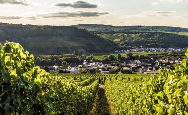 Moselle Almanya Detzem.