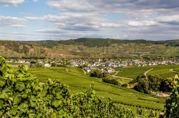 Leiwen Aan Moezel Duitsland — Stockfoto