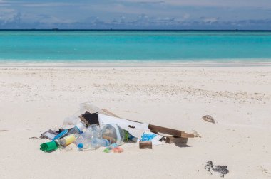 Sahilde Atoll ada Maldivler çöp.