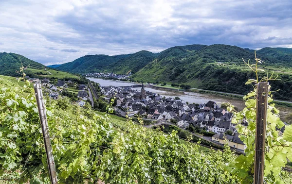 Neef Duitse Deelstaat Rijnland Palts Van Moselle — Stockfoto