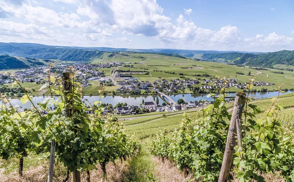 Piesport Moselle Rhineland Palatinate Germany — Stock Photo, Image