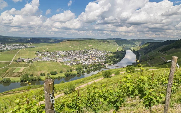 Trittenheim Moselle Rhineland Palatinate Germany — Stock Photo, Image