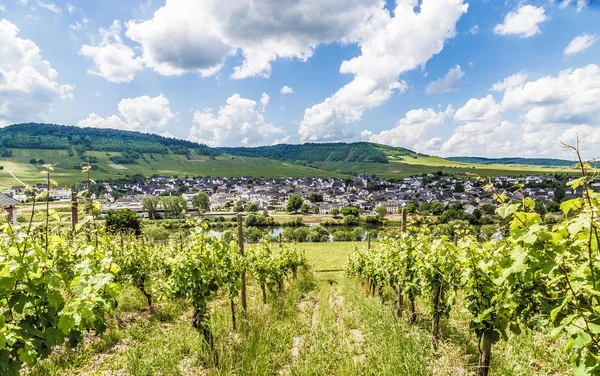 Leiwen Moselle Rhineland Palatinate Germany — Stock Photo, Image