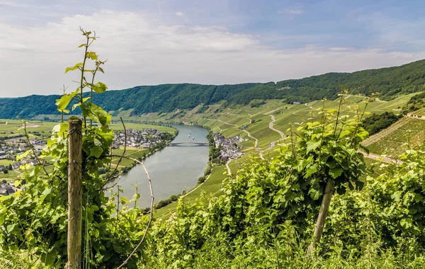 Piesport on the Moselle Rhineland-Palatinate Germany. — Stock Photo, Image