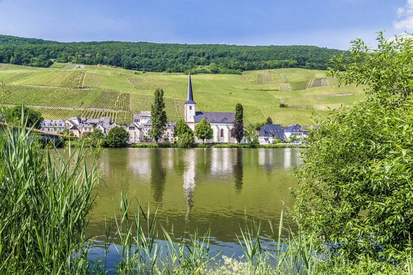 Piesport en el Mosela Renania-Palatinado Alemania —  Fotos de Stock