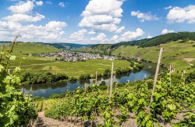 Trittenheim Rhineland-Palatinate Almanya 'da Moselle Loop