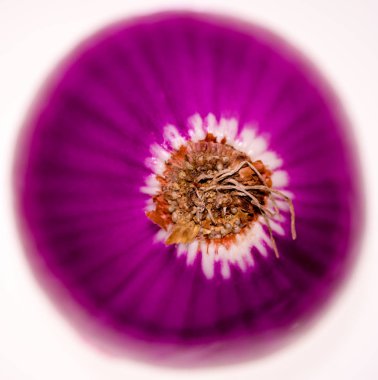 Düz beyaz arka plan önünde yarım kırmızı soğan