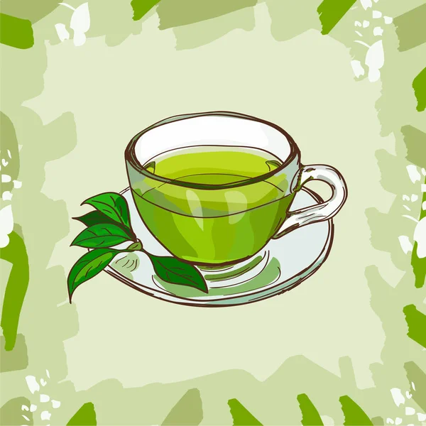 Üveg csésze klasszikus zöld tea a tea-fa levelek absztrakt háttér. Forró ital kézzel rajzolt vektoros illusztráció készletet. Vázlat, bár ital, üveg design menüpont. — Stock Vector