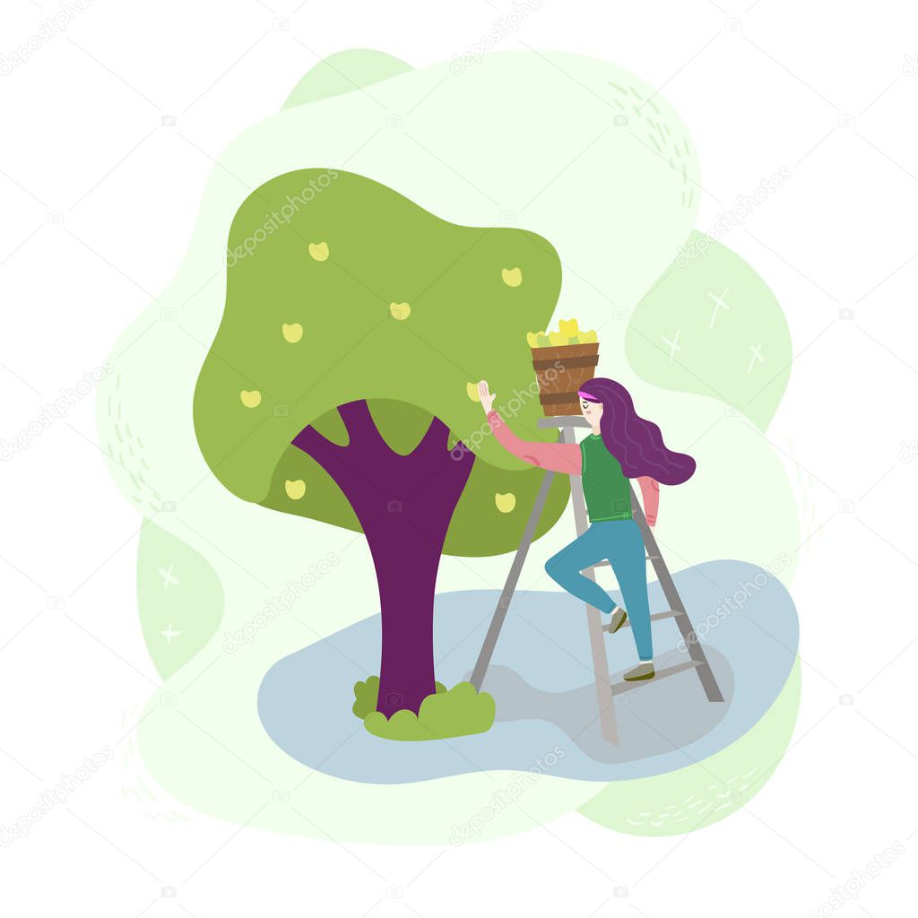 The girl in the garden stands on the stairs and harvested apples from a tree in a basket. Farm worker scene. Isolated flat trendy modern style Illustration on white background