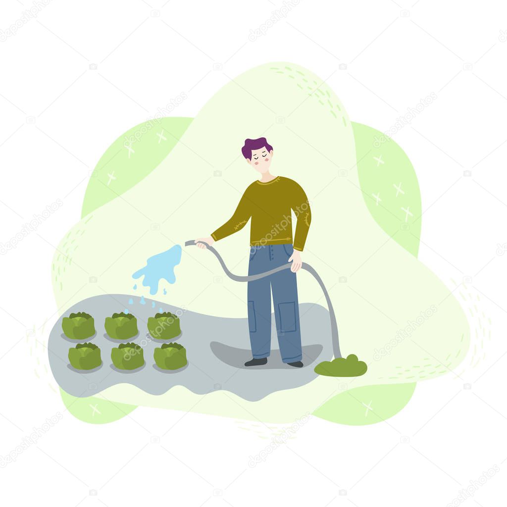 A man worker hoses a crop of green cabbage on the field with a water hose. Season harvest work scene. Isolated flat trendy modern style Illustration on white background.
