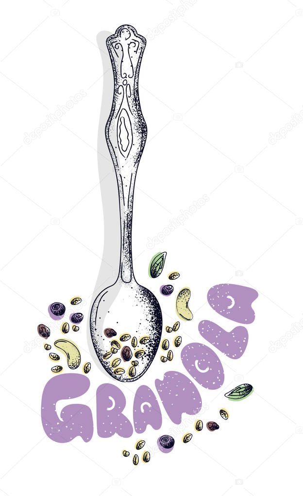 Homemade granolain spoon witn honey, nuts and raisins. Hand drawn vector illustration. Isolated menu design item