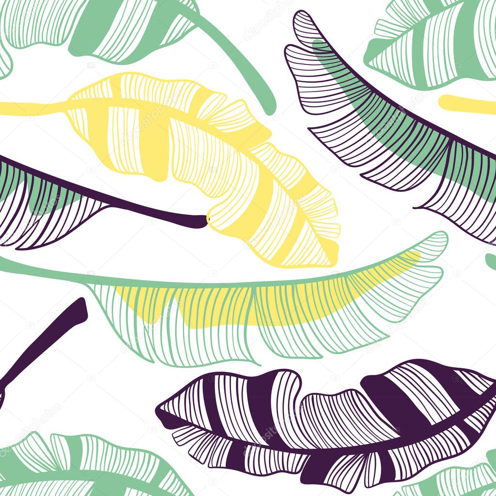 Seamless pattern of banana leaves. Fruit, leaf of banana. Vector hand drawn illustration set in modern trendy flat style for web, print posters and wallpapers