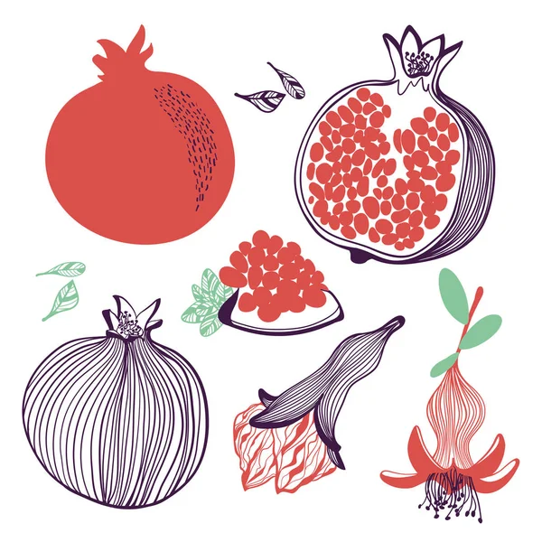 Collection of pomegranates. Fruit, leaf, flower and piece. Vector hand drawn illustration in modern trendy flat style for web, print. — Stock Vector