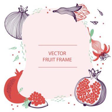 Rosh hashana kartı - Yahudi Yeni Yılı. Meyve nar metin çerçevesi el çizilmiş düz şablon. Nar botanik illüstrasyon ile vektör tasarımı. İş, poster, web ve baskı için