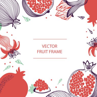 Rosh hashana kartı - Yahudi Yeni Yılı. Meyve nar metin çerçevesi el çizilmiş düz şablon. Nar botanik illüstrasyon ile vektör tasarımı. İş, poster, web ve baskı için