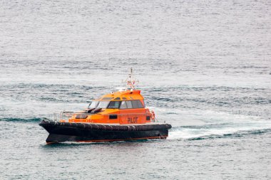 Port Philip Pilot tekne