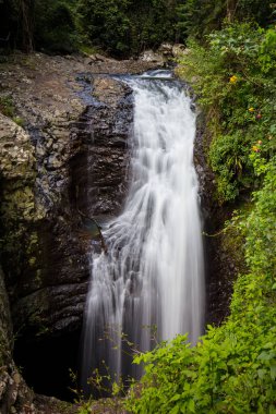 Doğal köprü Gold Coast