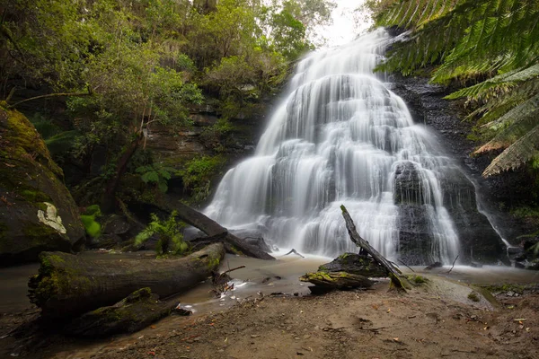 Henderson Falls Cape Otway — Foto Stock