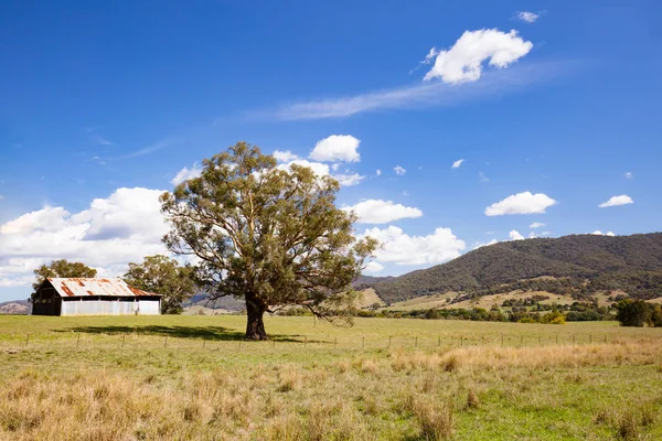 Alané rovinaté krajině Austrálie — Stock fotografie