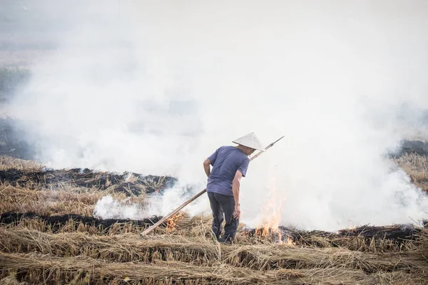 Vietnam quema de cultivos — Foto de Stock