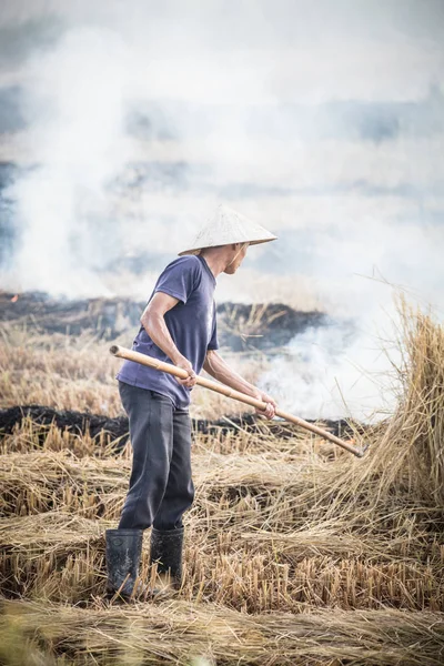 Vietnam quema de cultivos — Foto de Stock
