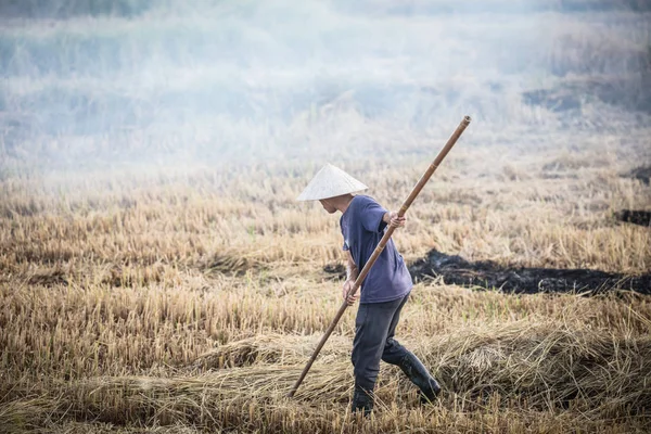 Vietnam gröda bränning — Stockfoto