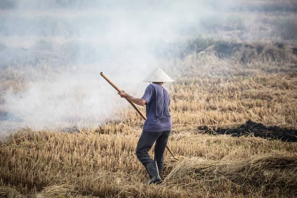 Vietname Crop Burning — Fotografia de Stock