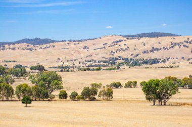Howqua Vadi Manzaralı