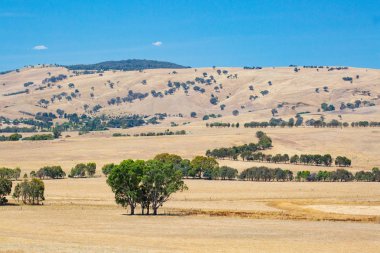 Howqua Vadi Manzaralı