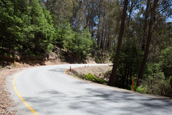 Mt Buller Alpine Rd — Stockfoto