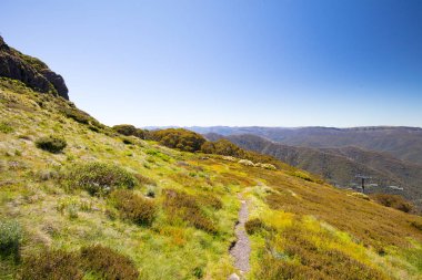 Yaz aylarında Buller Dağı Yürüyüşü ve Bisiklet Yolları