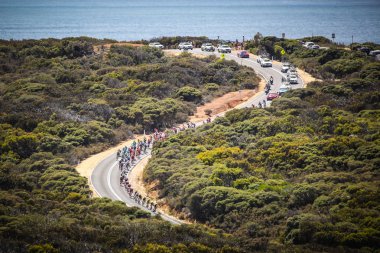 Cadel Evans Great Ocean Road yarış - elit Mens