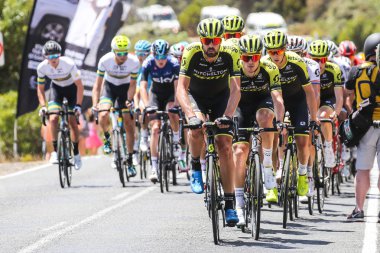 Cadel Evans Great Ocean Road yarış - elit Mens
