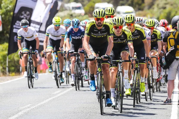 Cadel Еванс Great Ocean Road Race - елітні чоловіча — стокове фото