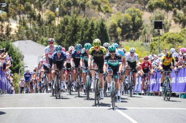 Cadel Evans Great Ocean Road yarış - elit Mens