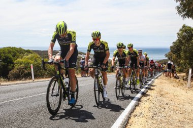 Cadel Evans Great Ocean Road yarış - elit Mens