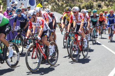 Cadel Evans Great Ocean Road yarış - elit Mens