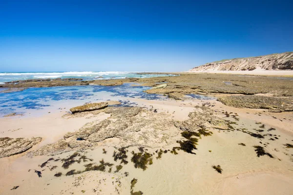 Onüçüncü Beach Barwon Kafaları — Stok fotoğraf