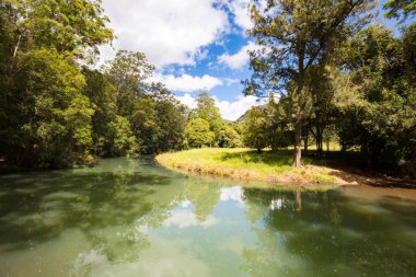 Forest Park piknik alanı Qld