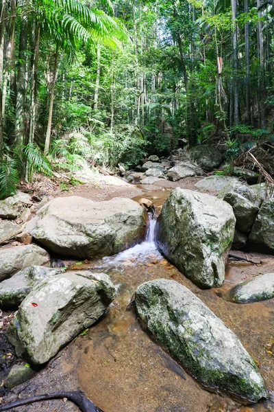 Parque Nacional Wollumbin — Foto de Stock