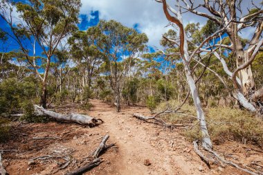Werribee Gorge Victoria Australia