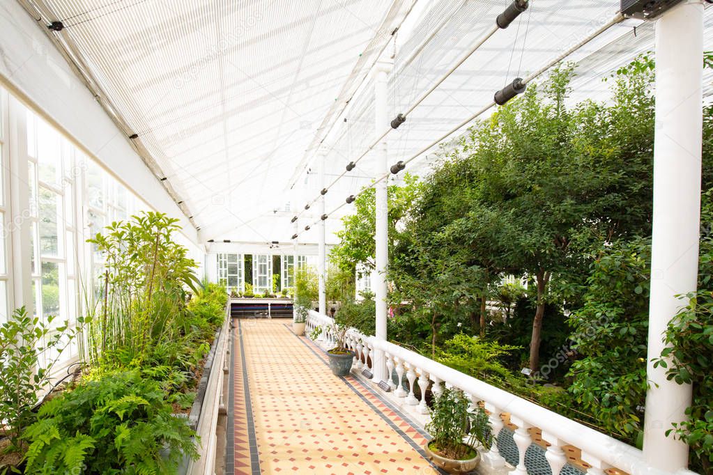 Changgyeonggung Palace Greenhouse