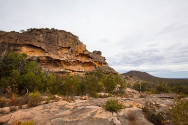 Gülgurn Manja Barınağı