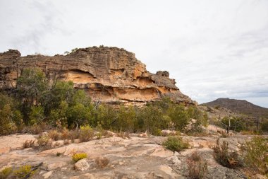 Gülgurn Manja Barınağı