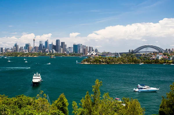 Port de Sydney depuis le zoo de Taronga — Photo