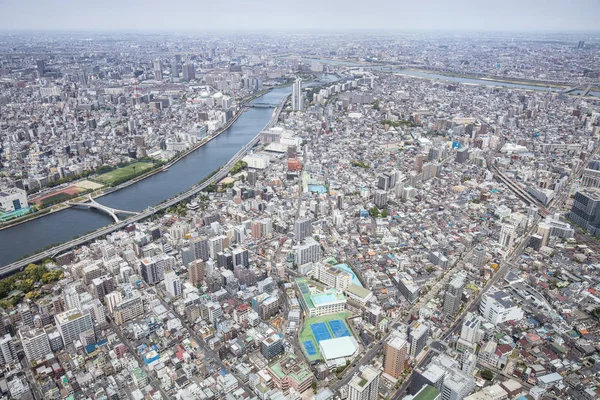 Tokyo Aerial View in Japan