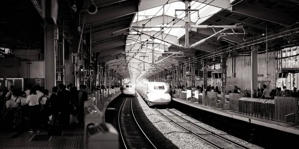 Shinkansen Yüksek Hızlı Mermi Treni — Stok fotoğraf