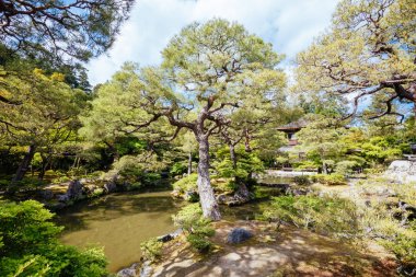 Gümüş Pavilyon Ginkakuji Tapınağı Kyoto Japonya