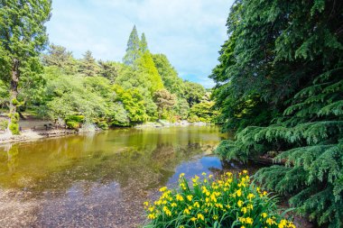 tokyo, Shinjuku gyoen Ulusal Bahçe